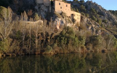 TRAYECTORIA DOCENTE